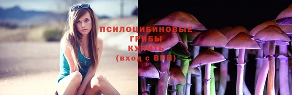 амф Абдулино
